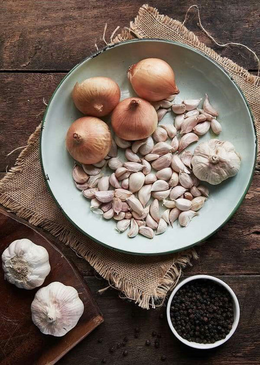 Understanding Prebiotics and Probiotics